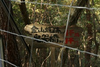 * 見どころ満載 秋の金山登山 * 丹波篠山