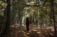 * 見どころ満載 秋の金山登山 * 丹波篠山