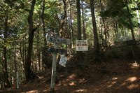 * 見どころ満載 秋の金山登山 * 丹波篠山