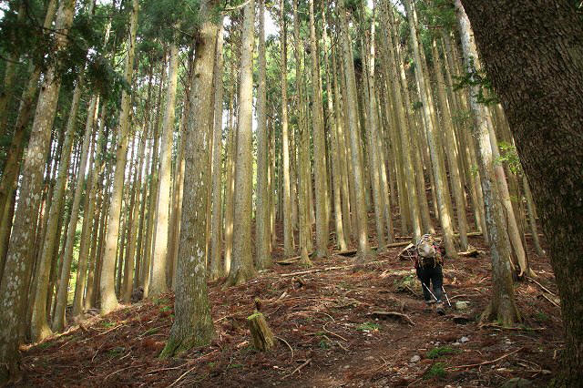 * 偵察登山 武奈ヶ岳 * 滋賀県 比良山系