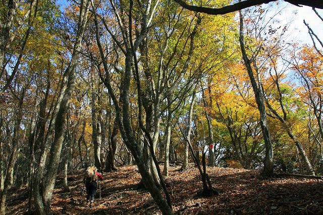 * 偵察登山 武奈ヶ岳 * 滋賀県 比良山系