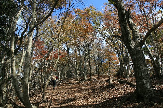 * 偵察登山 武奈ヶ岳 * 滋賀県 比良山系