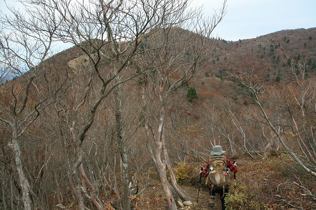 * 偵察登山 武奈ヶ岳 * 滋賀県 比良山系