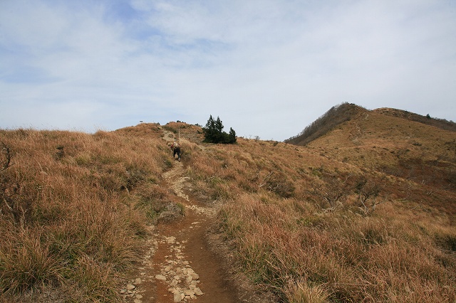 * 偵察登山 武奈ヶ岳 * 滋賀県 比良山系