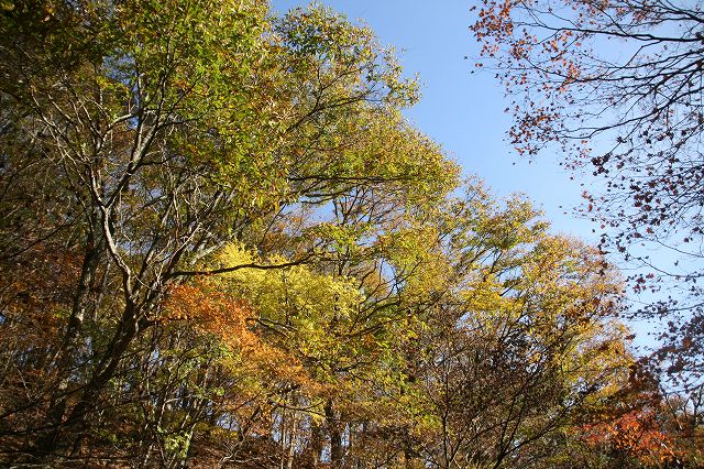 * 偵察登山 武奈ヶ岳 * 滋賀県 比良山系