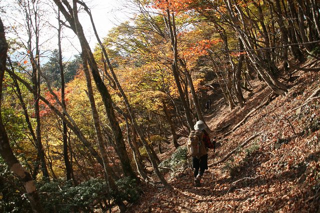 * 偵察登山 武奈ヶ岳 * 滋賀県 比良山系