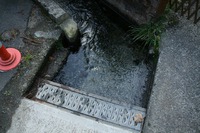* 偵察登山 武奈ヶ岳 * 滋賀県 比良山系