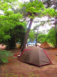富津公園キャンプ場