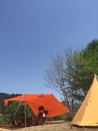 山菜採り 野営的なキャンプ場