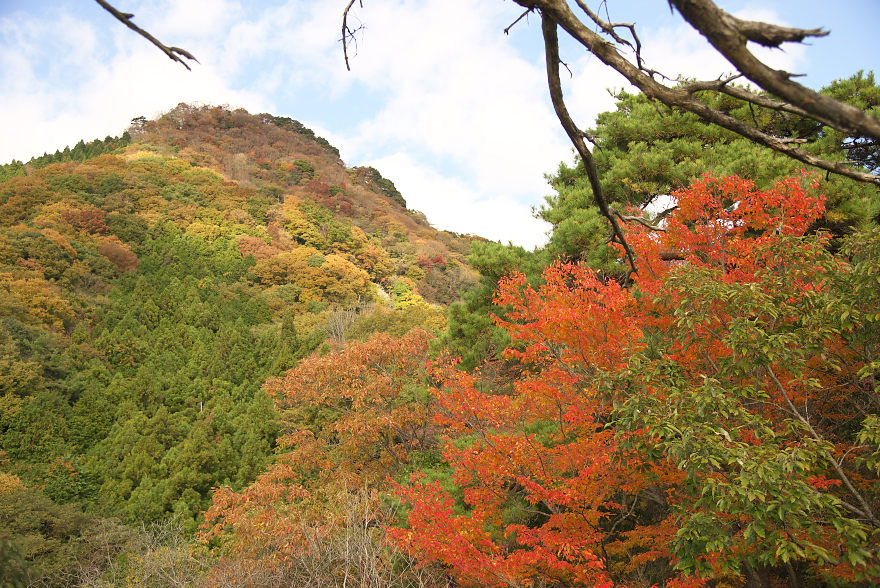 紅葉の明神山へ 紅葉の明神山へ