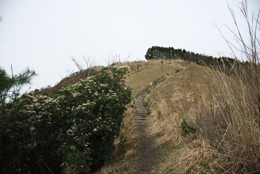 千ヶ峰 市原ルート 千ヶ峰 市原ルート