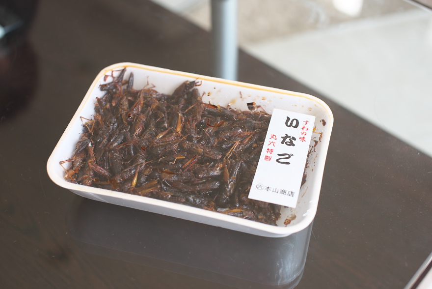 イナゴを食べてみる イナゴを食べてみる
