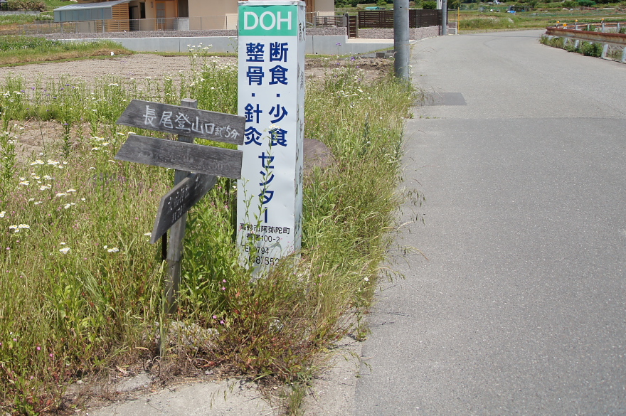 高御位山を登った 高御位山を登った