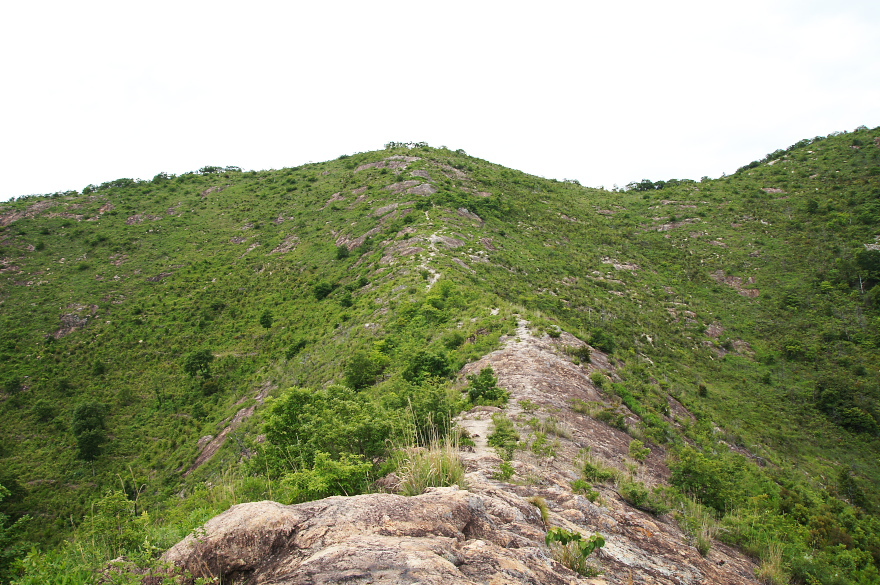 高御位山を登った 高御位山を登った