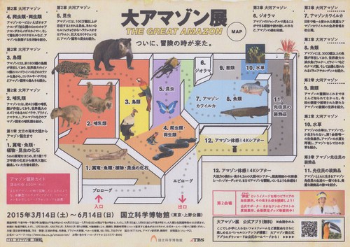 大アマゾン展 東京上野 国立科学博物館 大アマゾン展 東京上野 国立科学博物館