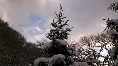 今シーズン初雪中！