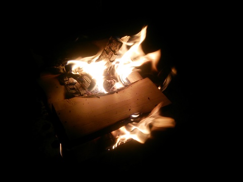 焚き火で暖まってます♪(*´-`)
