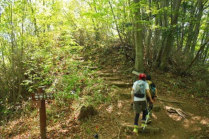 桜の名山ですが新緑を歩く生藤山 桜の名山ですが新緑を歩く生藤山
