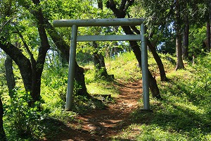 桜の名山ですが新緑を歩く生藤山 桜の名山ですが新緑を歩く生藤山