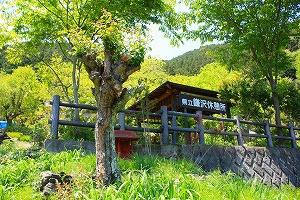 桜の名山ですが新緑を歩く生藤山 桜の名山ですが新緑を歩く生藤山