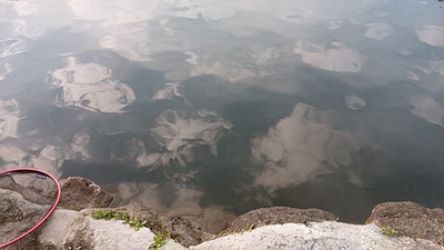 ただ、釣りがしたい釣行 ただ、釣りがしたい釣行