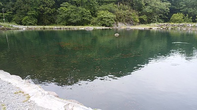 ただ、釣りがしたい釣行 ただ、釣りがしたい釣行