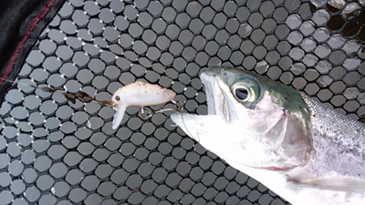 ただ、釣りがしたい釣行 ただ、釣りがしたい釣行