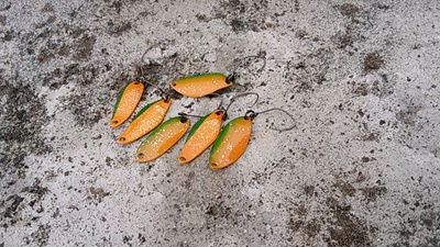 ただ、釣りがしたい釣行 ただ、釣りがしたい釣行