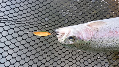ただ、釣りがしたい釣行 ただ、釣りがしたい釣行