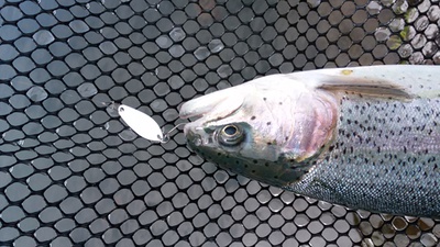 ただ、釣りがしたい釣行 ただ、釣りがしたい釣行