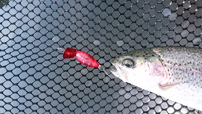 ただ、釣りがしたい釣行 ただ、釣りがしたい釣行