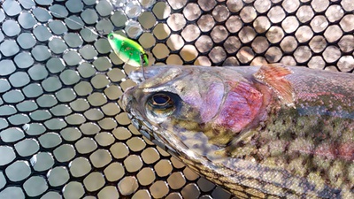 私をHOOKに釣れてって 私をHOOKに釣れてって