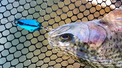私をHOOKに釣れてって 私をHOOKに釣れてって