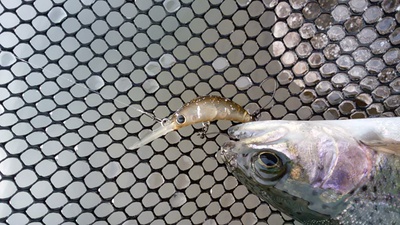 私をHOOKに釣れてって 私をHOOKに釣れてって