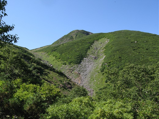 在りし日の記憶 その ① ~ 白山 平瀬道 ~ 在りし日の記憶 その ① ~ 白山 平瀬道 ~