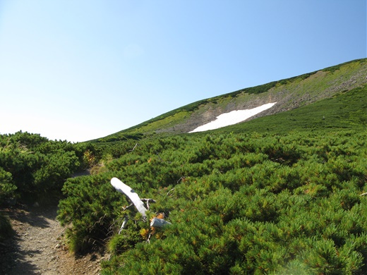 在りし日の記憶 その ① ~ 白山 平瀬道 ~ 在りし日の記憶 その ① ~ 白山 平瀬道 ~