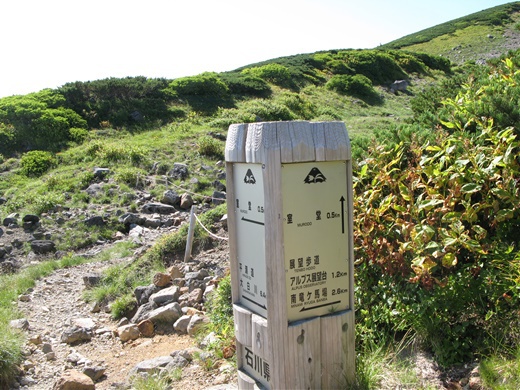 在りし日の記憶 その ① ~ 白山 平瀬道 ~ 在りし日の記憶 その ① ~ 白山 平瀬道 ~