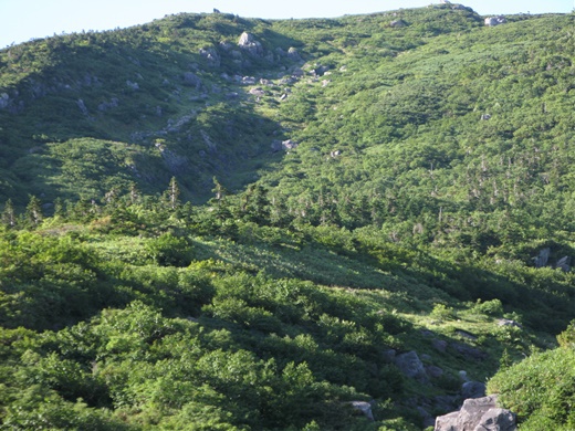 在りし日の記憶 その ① ~ 白山 平瀬道 ~ 在りし日の記憶 その ① ~ 白山 平瀬道 ~