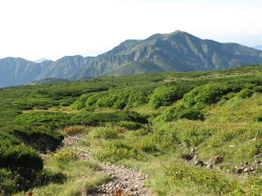 在りし日の記憶 その ① ~ 白山 平瀬道 ~ 在りし日の記憶 その ① ~ 白山 平瀬道 ~