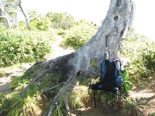 在りし日の記憶 その ① ~ 白山 平瀬道 ~ 在りし日の記憶 その ① ~ 白山 平瀬道 ~