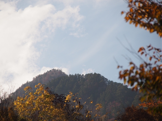 和佐又探訪 ~ 晩秋のお山は黄金色に輝いていた ~ 和佐又探訪 ~ 晩秋のお山は黄金色に輝いていた ~