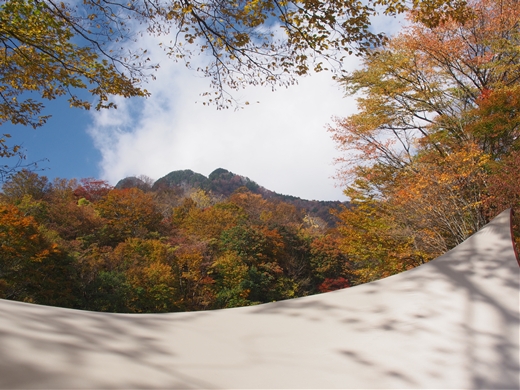 和佐又探訪 ~ 晩秋のお山は黄金色に輝いていた ~ 和佐又探訪 ~ 晩秋のお山は黄金色に輝いていた ~
