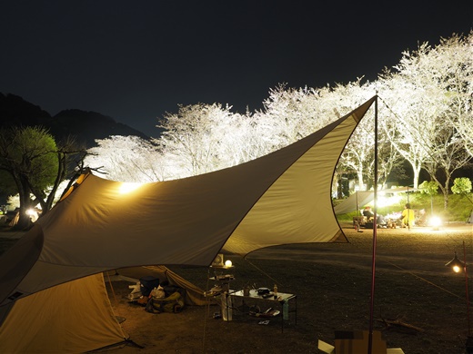4月のご報告 ~ なんもないんですけど、、、 ~ 4月のご報告 ~ なんもないんですけど、、、 ~