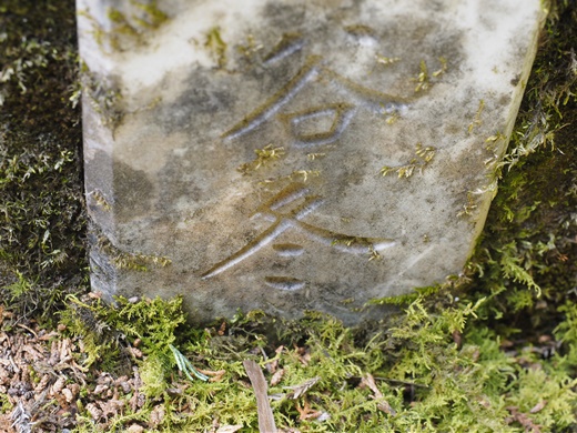 忘れられゆく道 ~ 国道173号線 天王峠 旧道 ~ 忘れられゆく道 ~ 国道173号線 天王峠 旧道 ~
