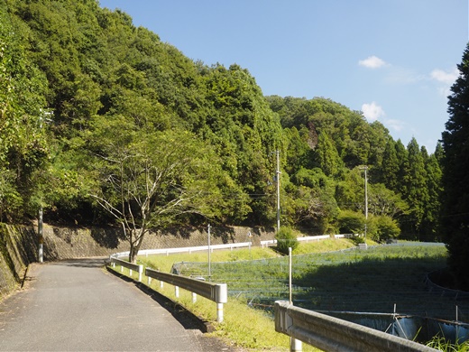 まったりと秋の旬を愉しみましょう ~ 山城町森林公園キャンプ場でお泊りだよん ~ まったりと秋の旬を愉しみましょう ~ 山城町森林公園キャンプ場でお泊りだよん ~