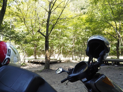 まったりと秋の旬を愉しみましょう ~ 山城町森林公園キャンプ場でお泊りだよん ~ まったりと秋の旬を愉しみましょう ~ 山城町森林公園キャンプ場でお泊りだよん ~