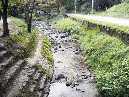 まったりと秋の旬を愉しみましょう ~ 山城町森林公園キャンプ場でお泊りだよん ~ まったりと秋の旬を愉しみましょう ~ 山城町森林公園キャンプ場でお泊りだよん ~