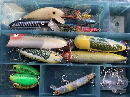 釣行記1 初釣り行ってきましたよ 釣行記1 初釣り行ってきましたよ