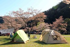 お花見キャンプ2021