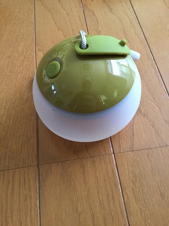 ほおずき ほおずき